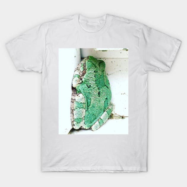 Sleeping Tree Frog T-Shirt by turddemon